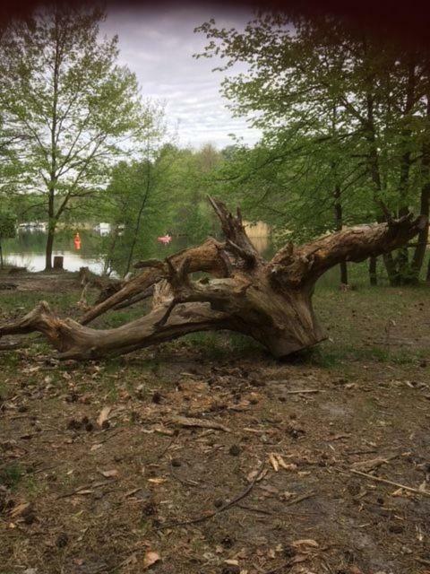 Ferienappartements Am See Schorfheide Exteriér fotografie